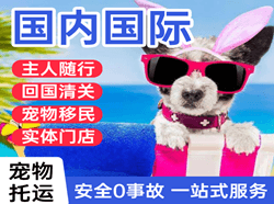 黑河瑷珲航空托运国际宠物托运 【国